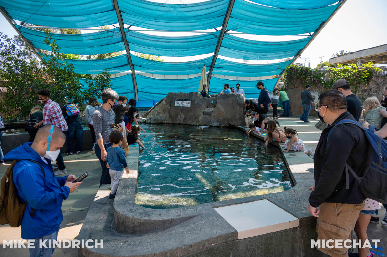 , Long Beach Aquarium of the Pacific is Oceans of Fun