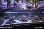 Long Beach AOP-Tropical Pacific Hall (1 of 1)