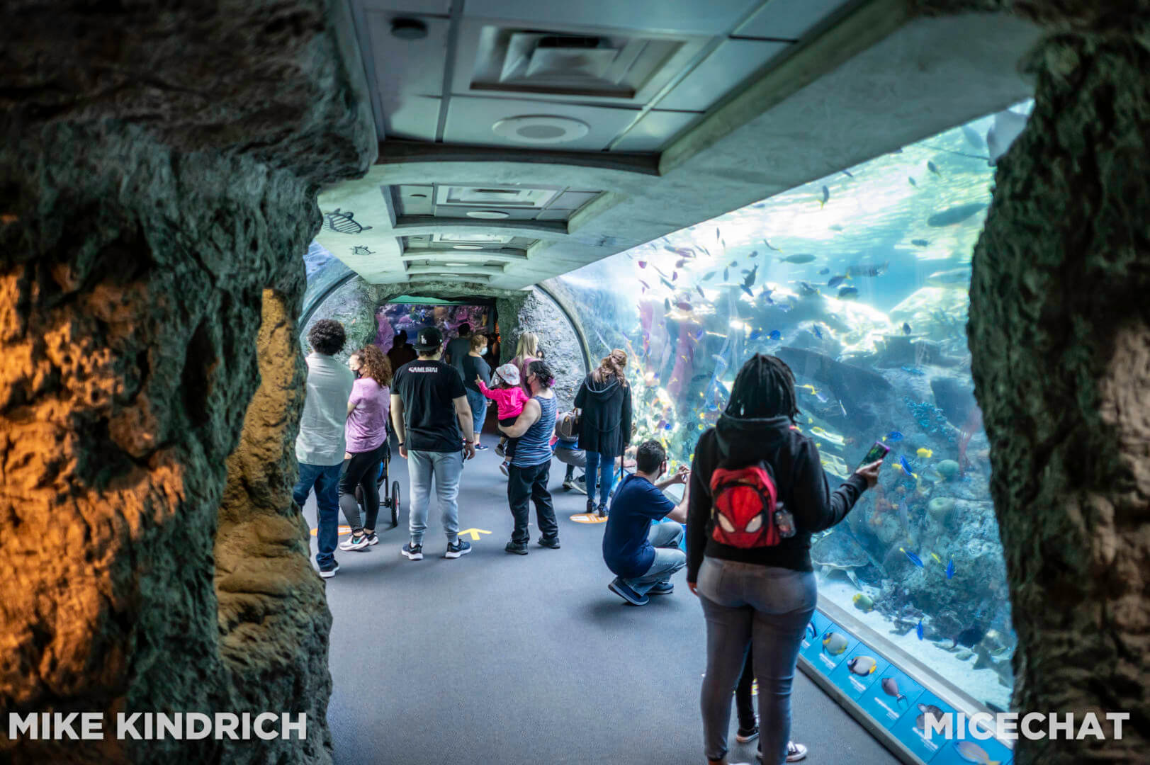 , Long Beach Aquarium of the Pacific is Oceans of Fun