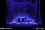 Long Beach AOP-Tropical Pacific Hall (1 of 1)-27
