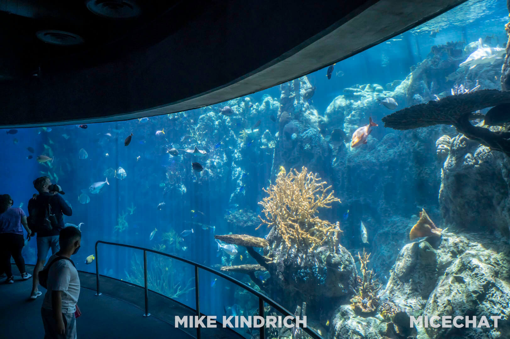 , Long Beach Aquarium of the Pacific is Oceans of Fun