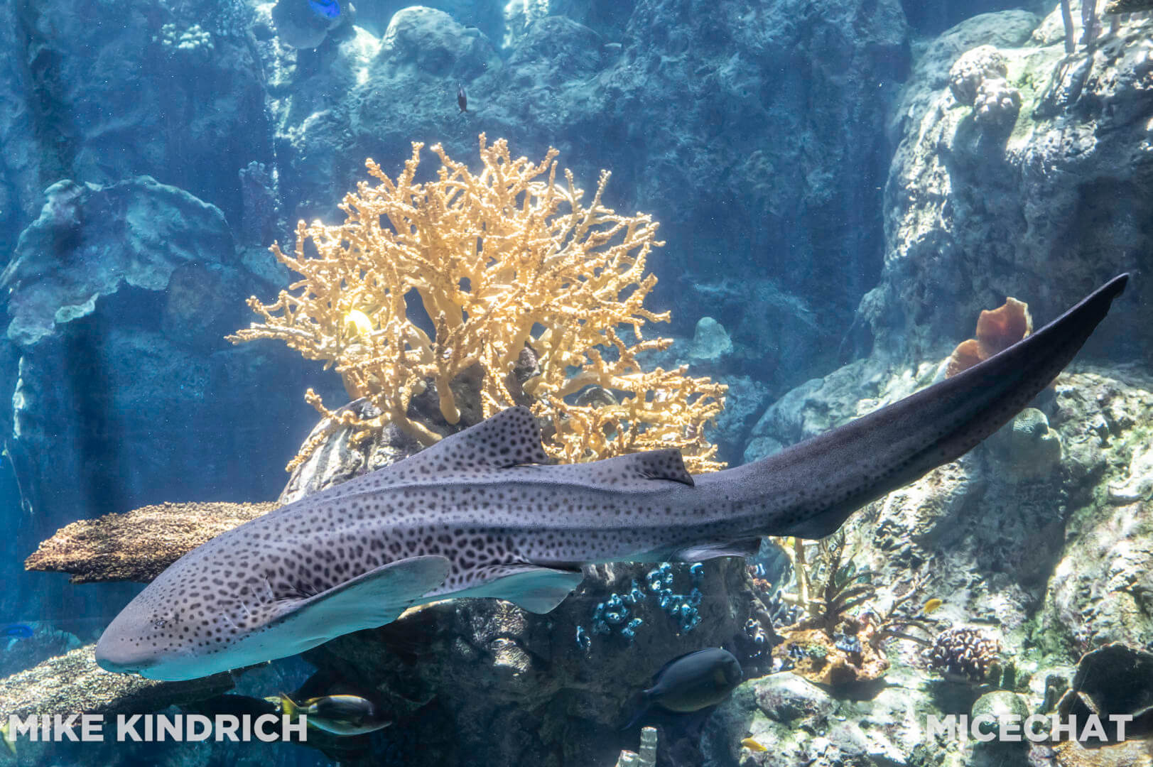 , Long Beach Aquarium of the Pacific is Oceans of Fun