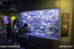 Long Beach AOP-Tropical Pacific Hall (1 of 1)-5