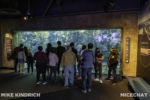Long Beach AOP-Tropical Pacific Hall (1 of 1)-7
