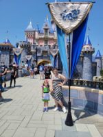 Micechat Disneyland castle with kid