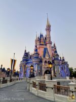 Photo_1Magic-Kingdom-cinderella-castle