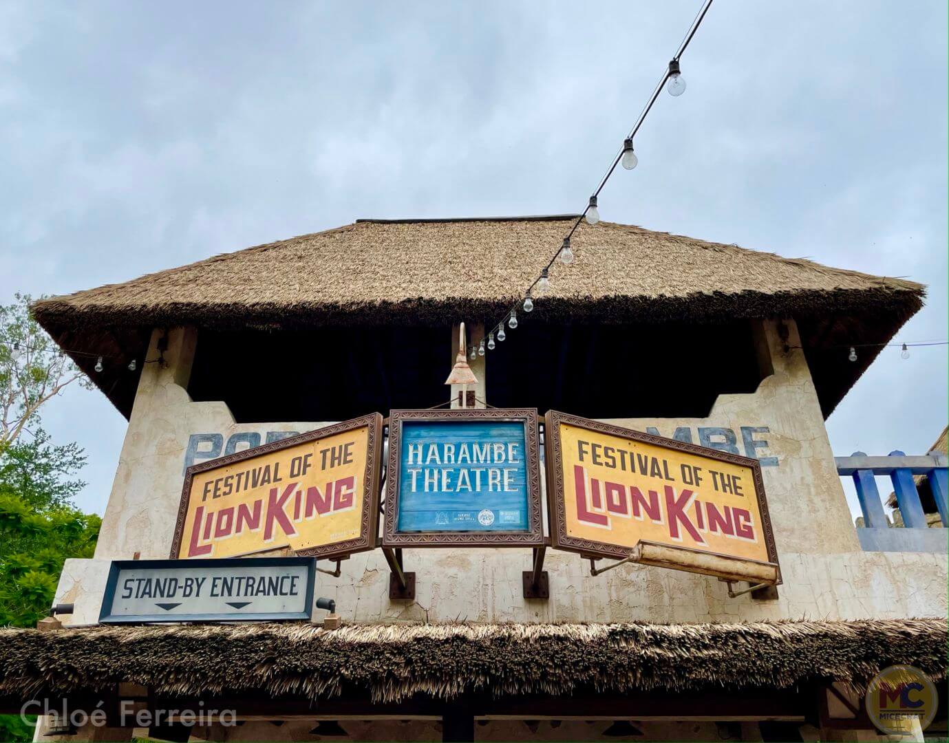 , Walt Disney World Update: The Magic of Returning Normalcy