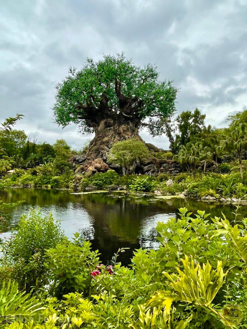 , Walt Disney World Update: The Magic of Returning Normalcy