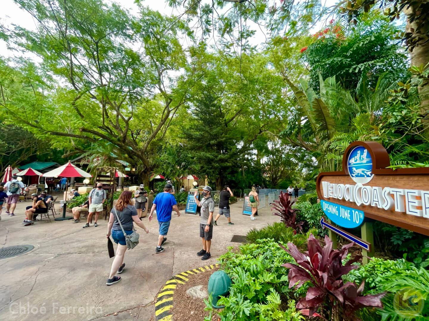 , Universal Orlando Update: Roaring Back to Normal
