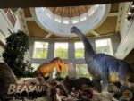 Photo_6UO-islands-of-adventure 2