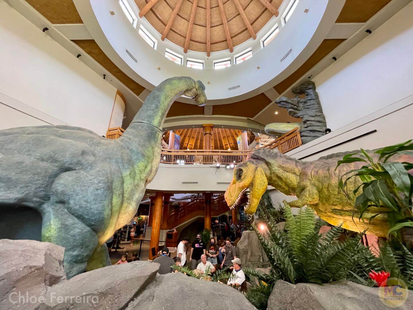 , Universal Orlando Update: Roaring Back to Normal