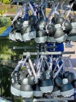 disneyland food popcorn buckets minnie gray-micechat