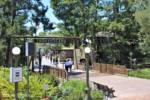 Frontierland bridge