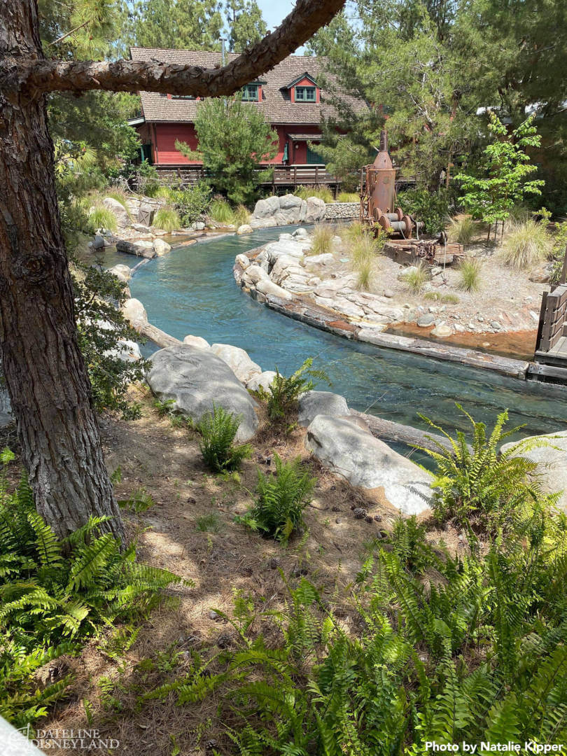 , Dateline Disneyland: A Mostly Magical Homecoming!