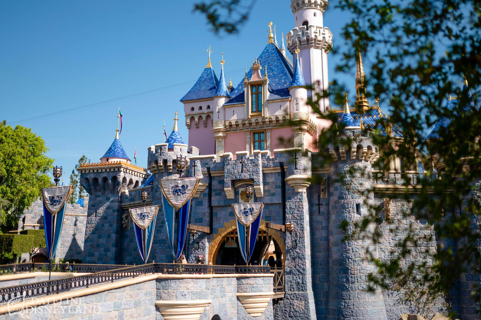 , Dateline Disneyland: A Mostly Magical Homecoming!