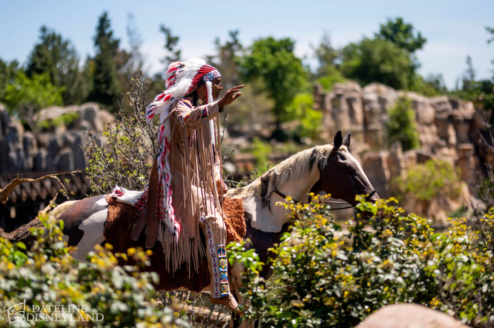 , Dateline Disneyland: A Mostly Magical Homecoming!