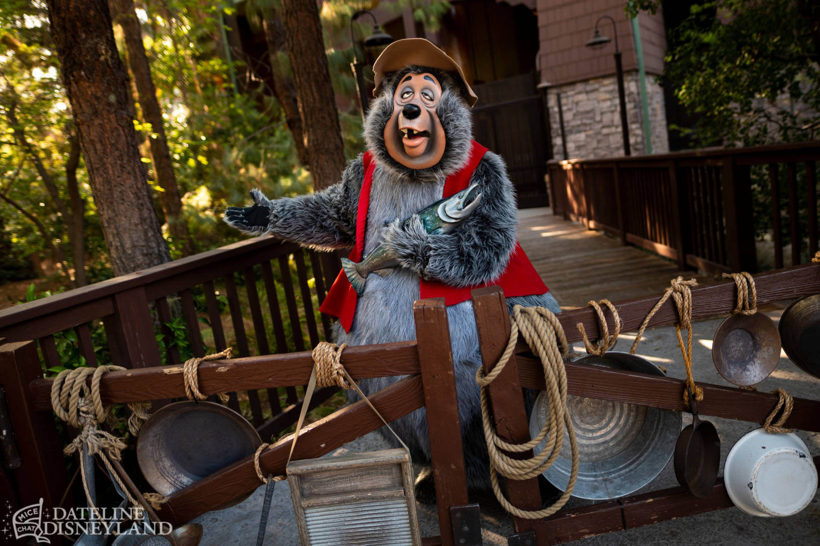 , Dateline Disneyland: A Mostly Magical Homecoming!