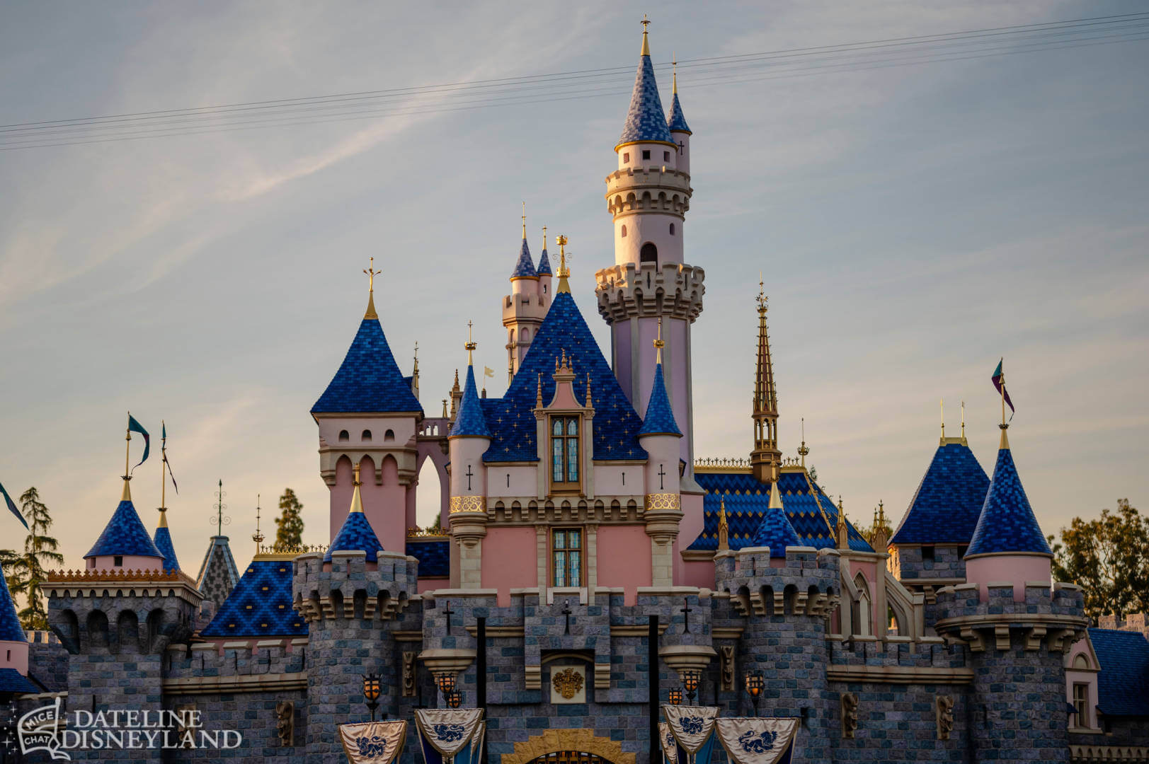 , Dateline Disneyland: A Mostly Magical Homecoming!