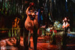 Disneyland Splash Mountain