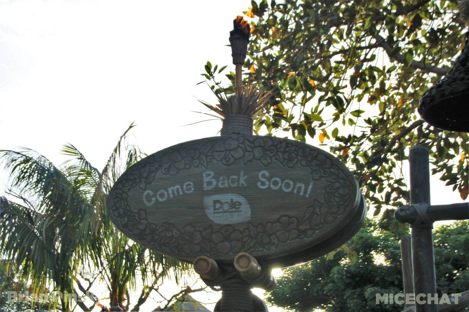 , Disneyland Update! What’s New and What’s Next at the Happiest Place on Earth