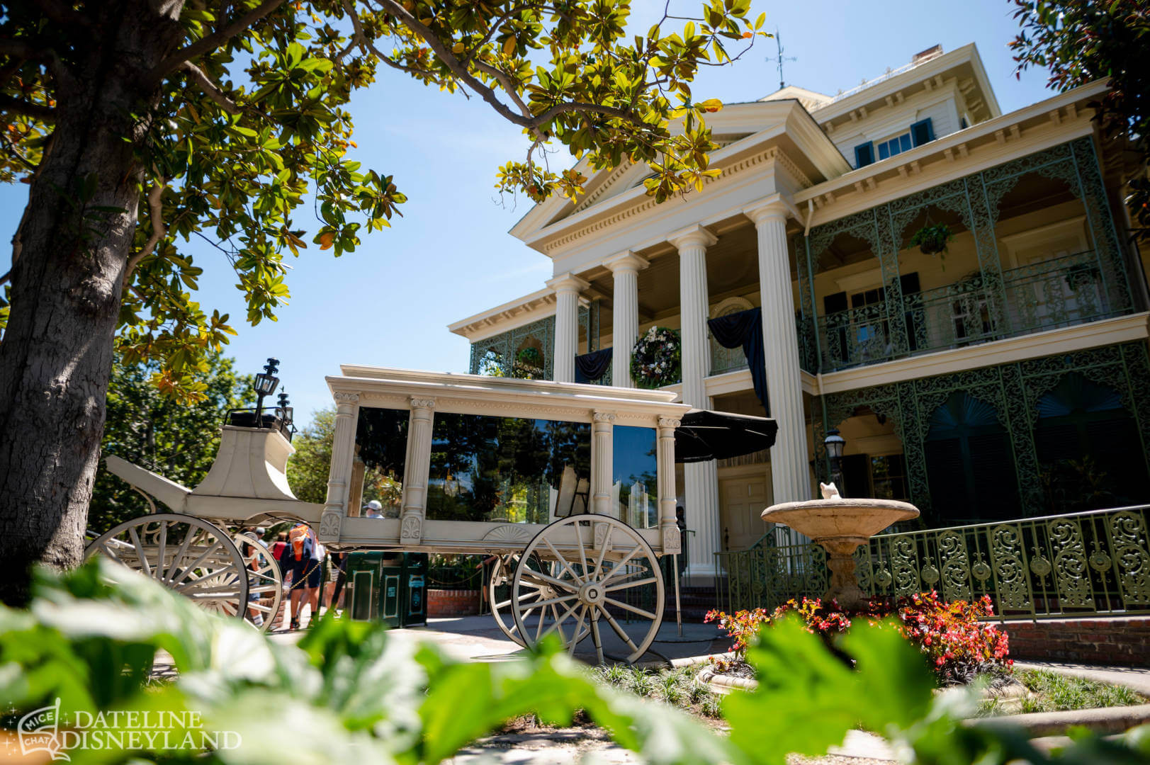 , Disneyland Update – Less is More, More or Less