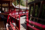 Disneyland reopening