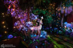 Snow White’s Enchanted WIsh