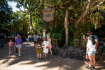 Indiana Jones Adventure queue