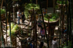 Indiana Jones Adventure queue