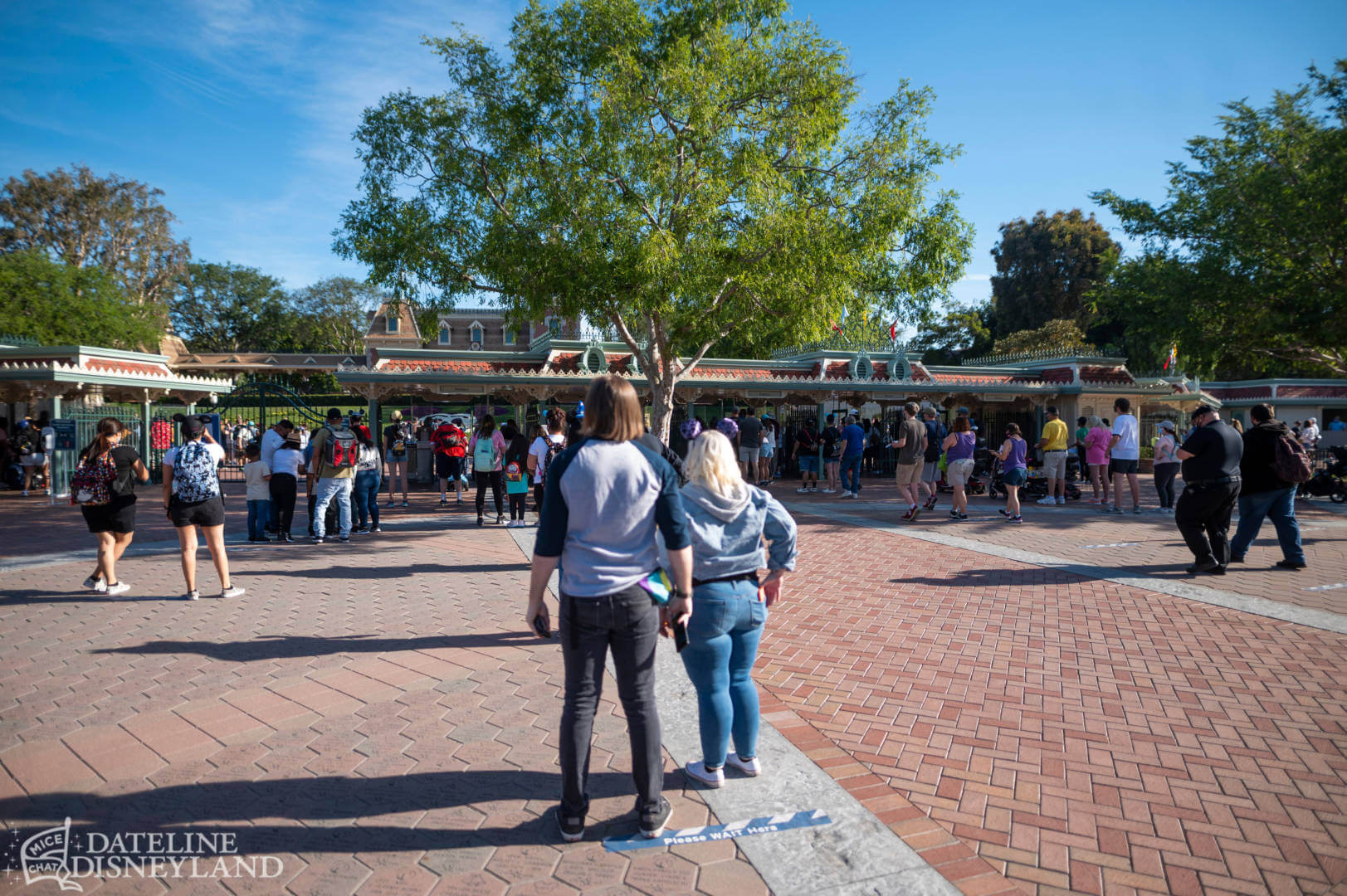 , Dateline Disneyland: A Mostly Magical Homecoming!
