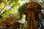 Indiana Jones Adventure queue