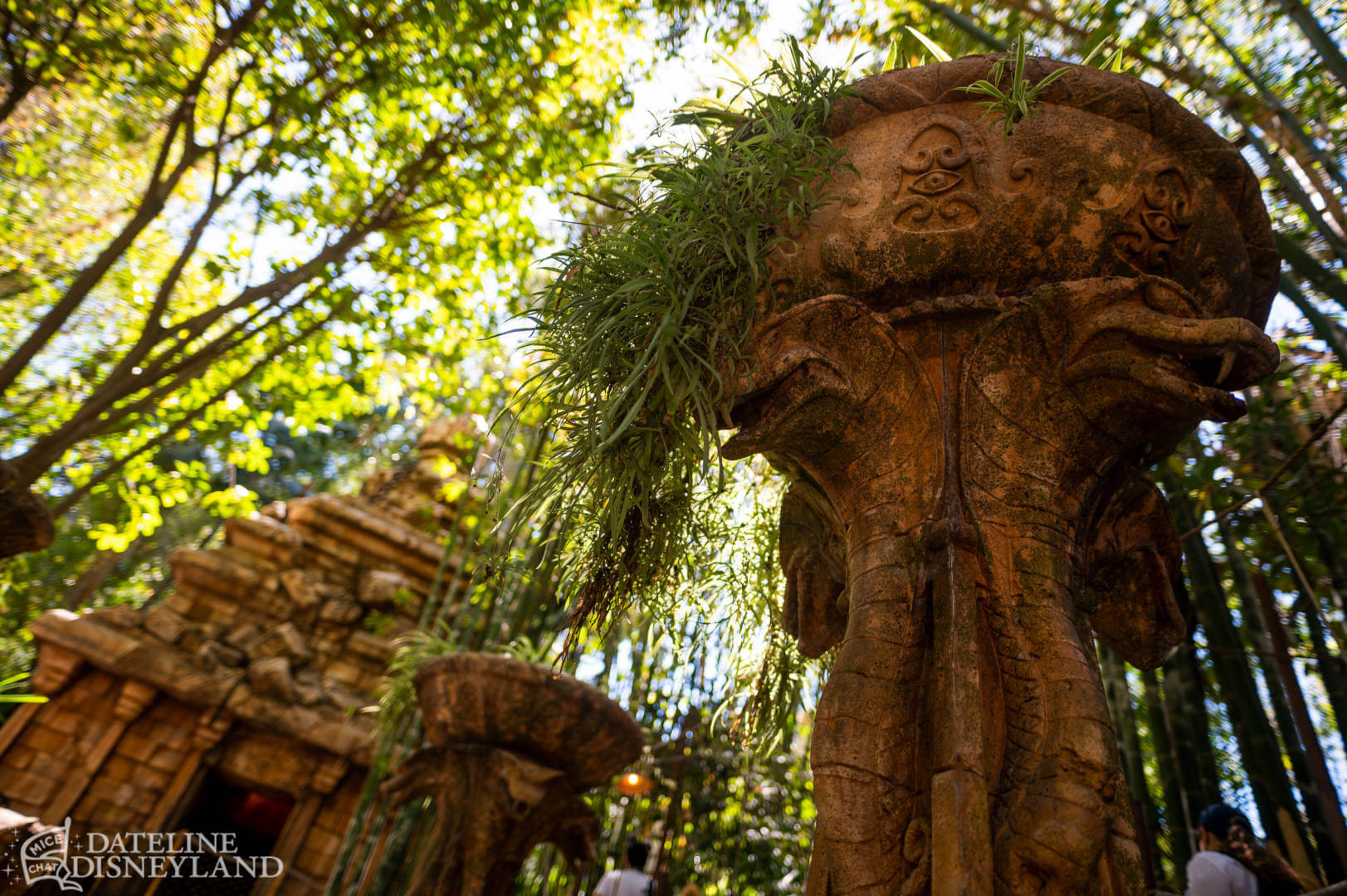 , Dateline Disneyland: A Mostly Magical Homecoming!