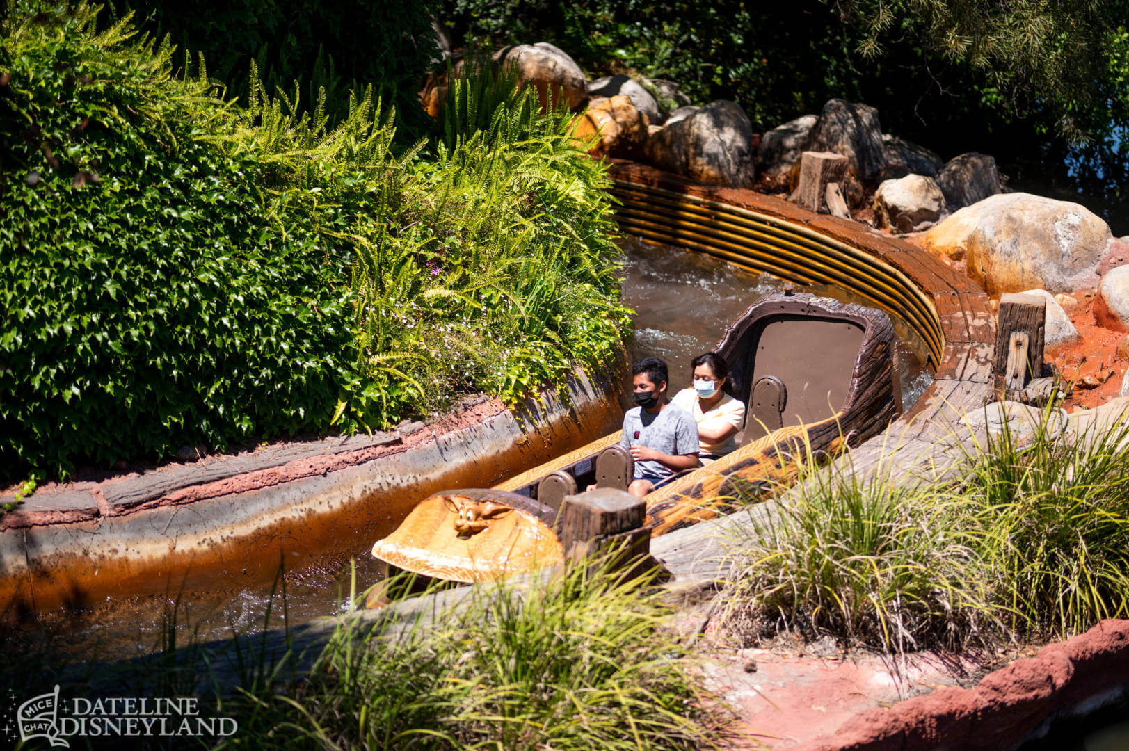 , Dateline Disneyland: A Mostly Magical Homecoming!