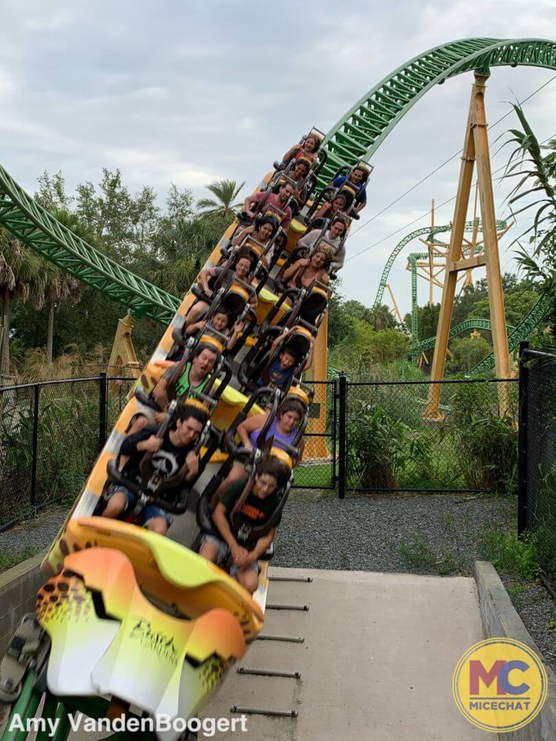 , Busch Gardens Tampa’s Summer Nights Sizzles