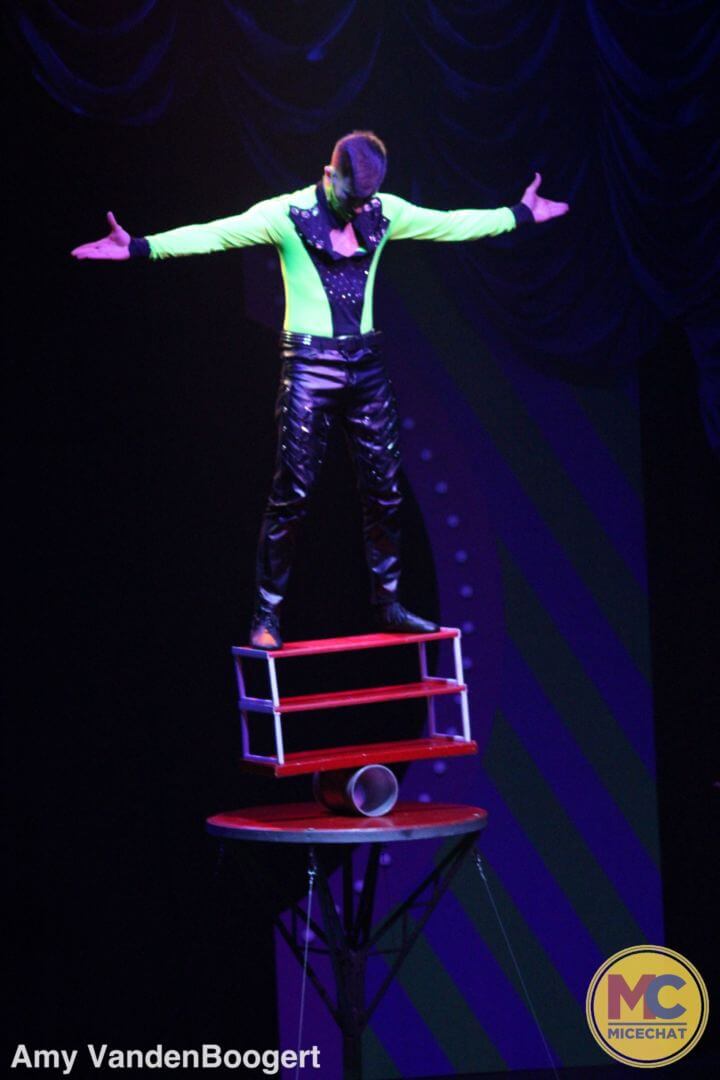 , Busch Gardens Tampa’s Summer Nights Sizzles