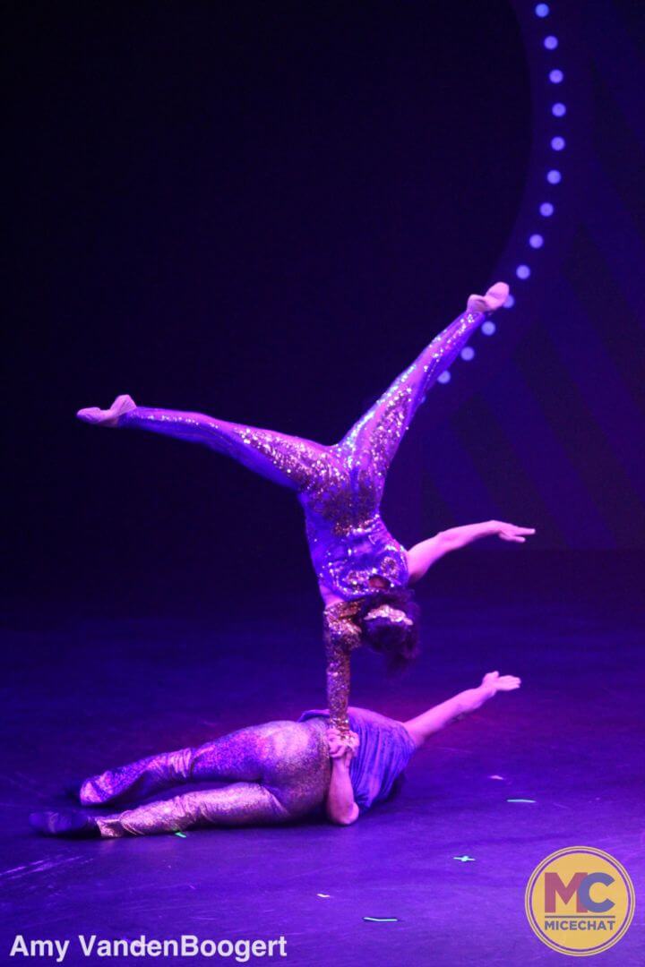 , Busch Gardens Tampa’s Summer Nights Sizzles