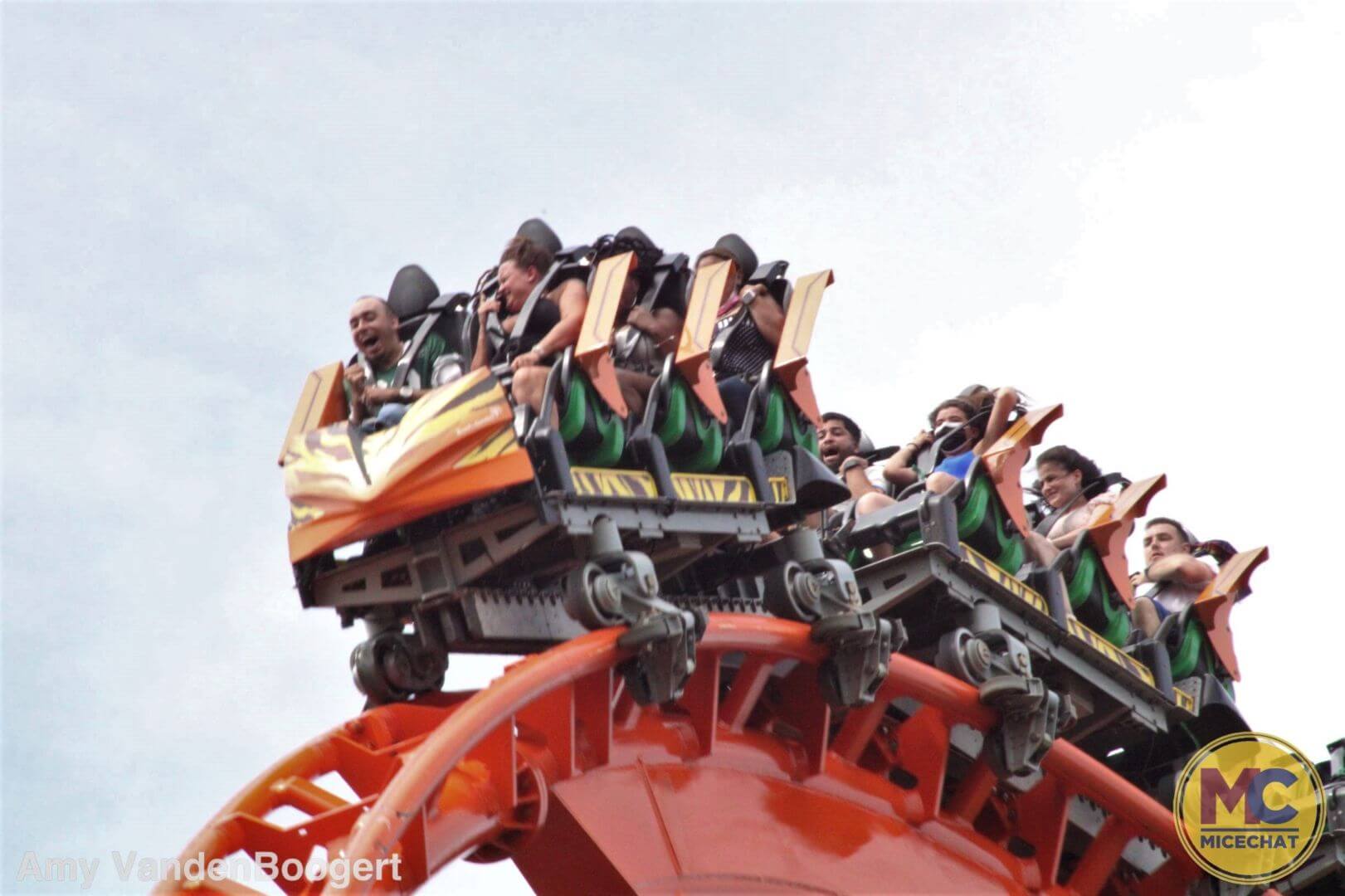 , Busch Gardens Tampa’s Summer Nights Sizzles