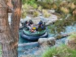 Disney California Adventure attractions Grizzly seating-micechat