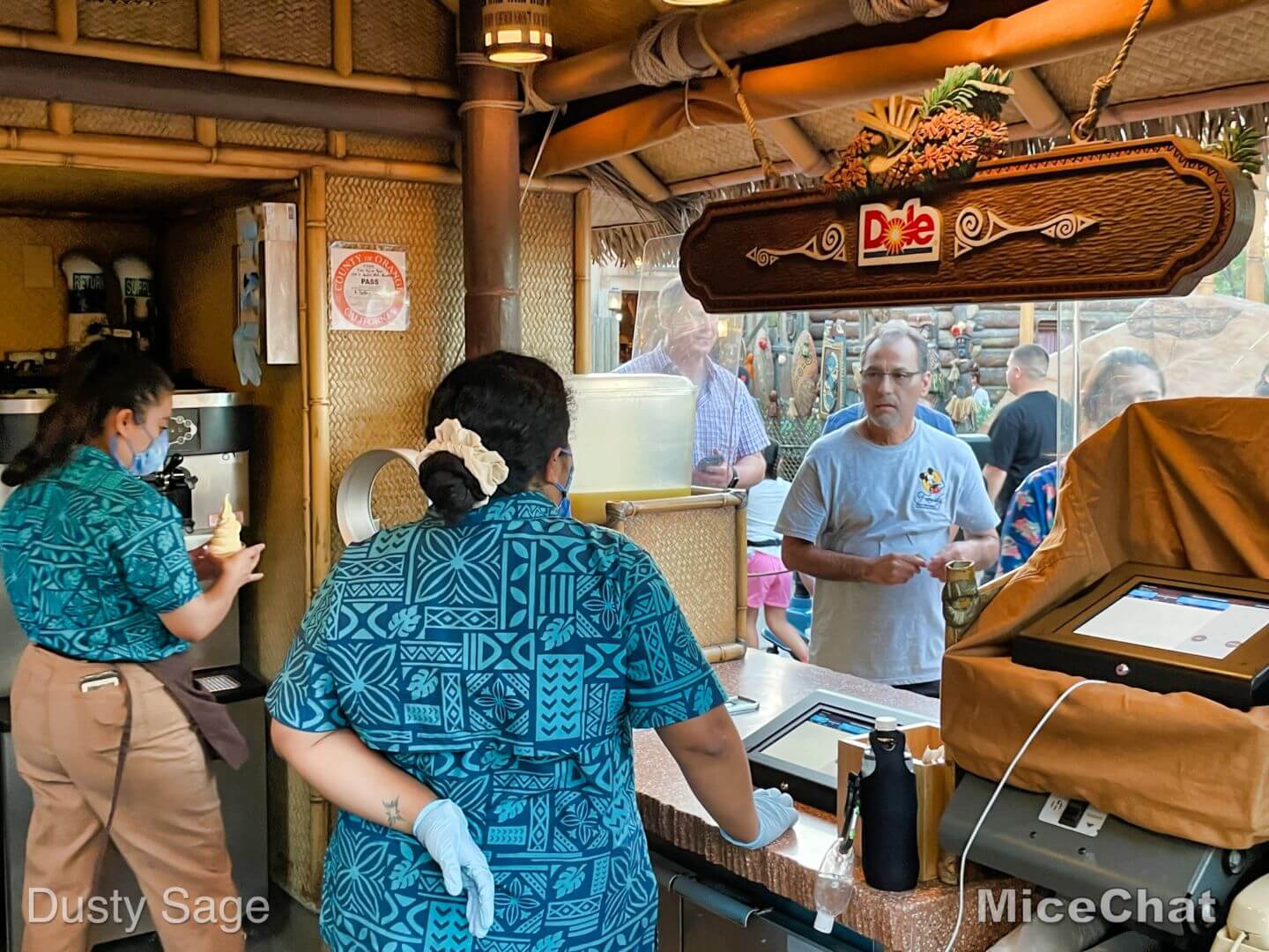 , Disneyland Update: Topsy Turvy More or Less