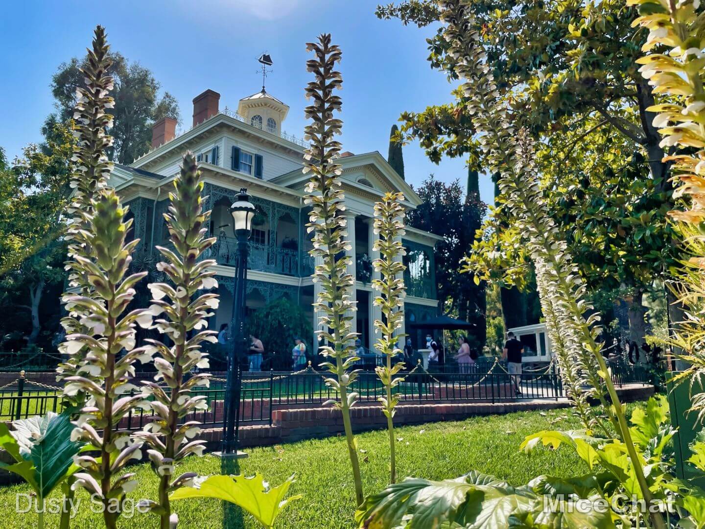 , Disneyland Update – The Magic of Entertainment Returns