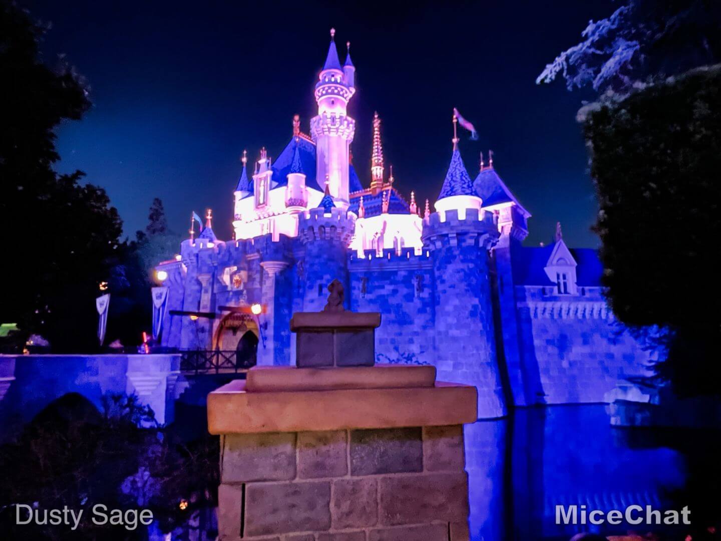 Disneyland Castle Night Side View 2 Micechat Micechat