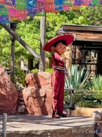 Disneyland Characters Coco-micechat