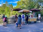 Disneyland Critter Country Outdoor Vending Reopened-micechat