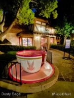 Disneyland Fantasyland Night Mad Hatter Hat Shop-micechat
