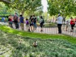 Disneyland New Orleans Square Haunted mansion Ducks-micechat