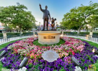 Disney’s Mixed 3rd Quarter Results & Difficult Questions