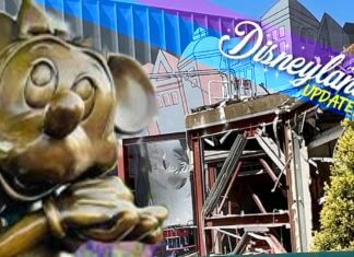 Disneyland Update: Topsy Turvy More or Less