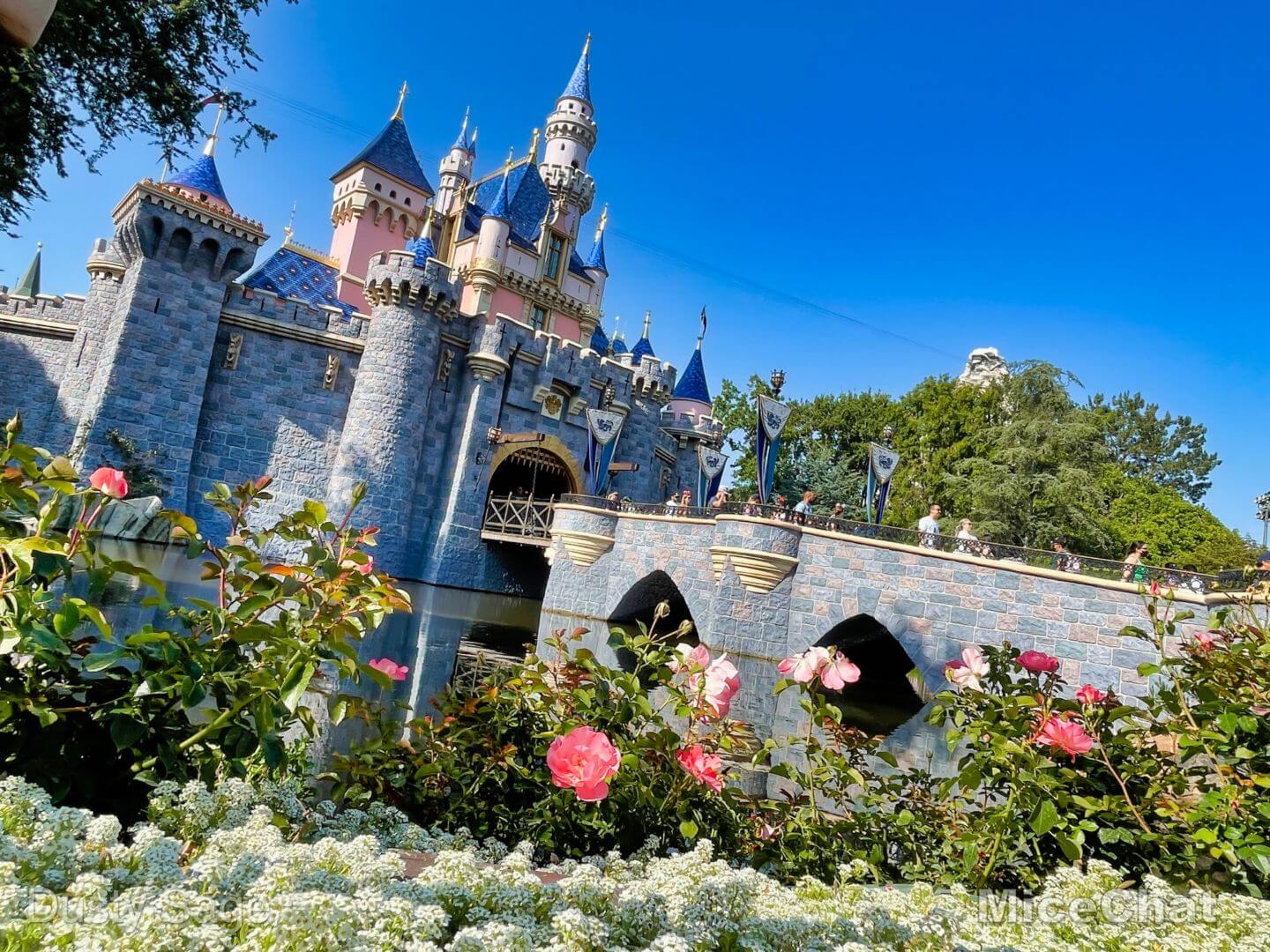 , The Sweep Spot: Disneyland Ride Operator Caitlin &#038; Disneyland Drummer Jimmy