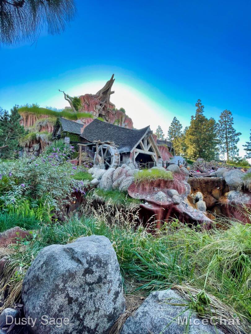 , Disneyland Update – You’ll Get The Point In The End