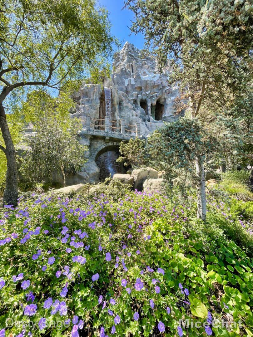 , Disneyland Update: Topsy Turvy More or Less